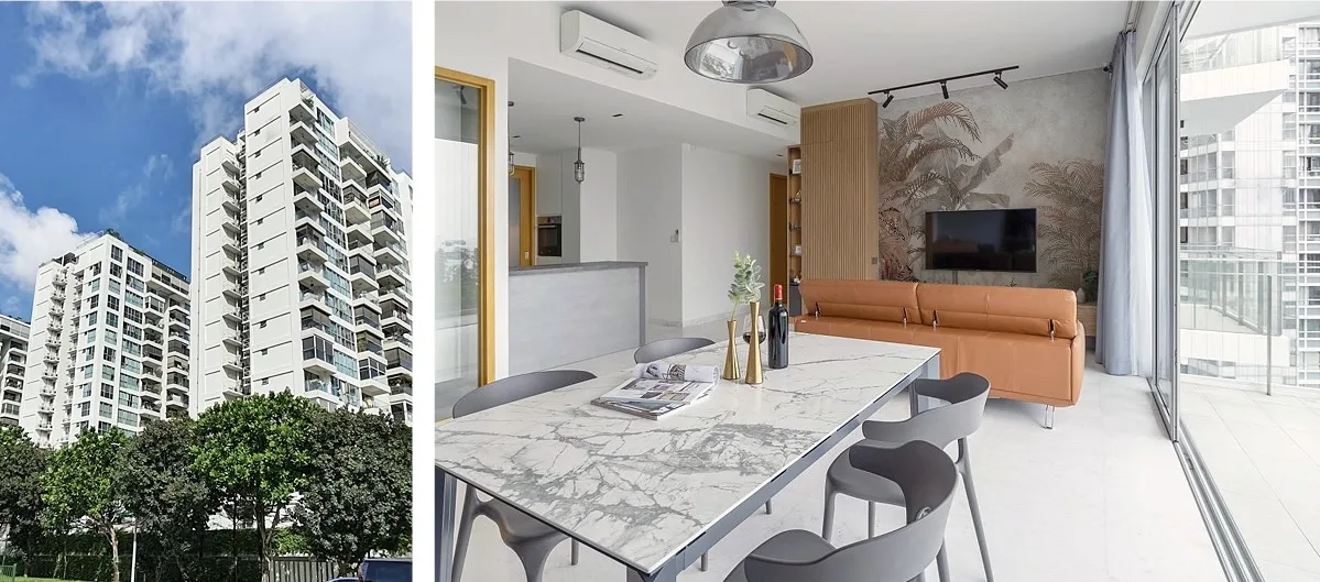 V Shenton Singapore Condo Living Room